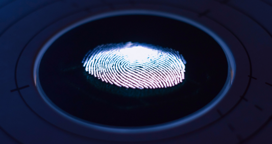 Electronic Fingerprinting